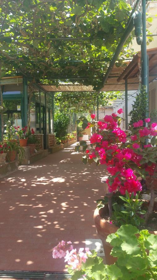 Villa Dei Fiori B&B Capri Exterior foto