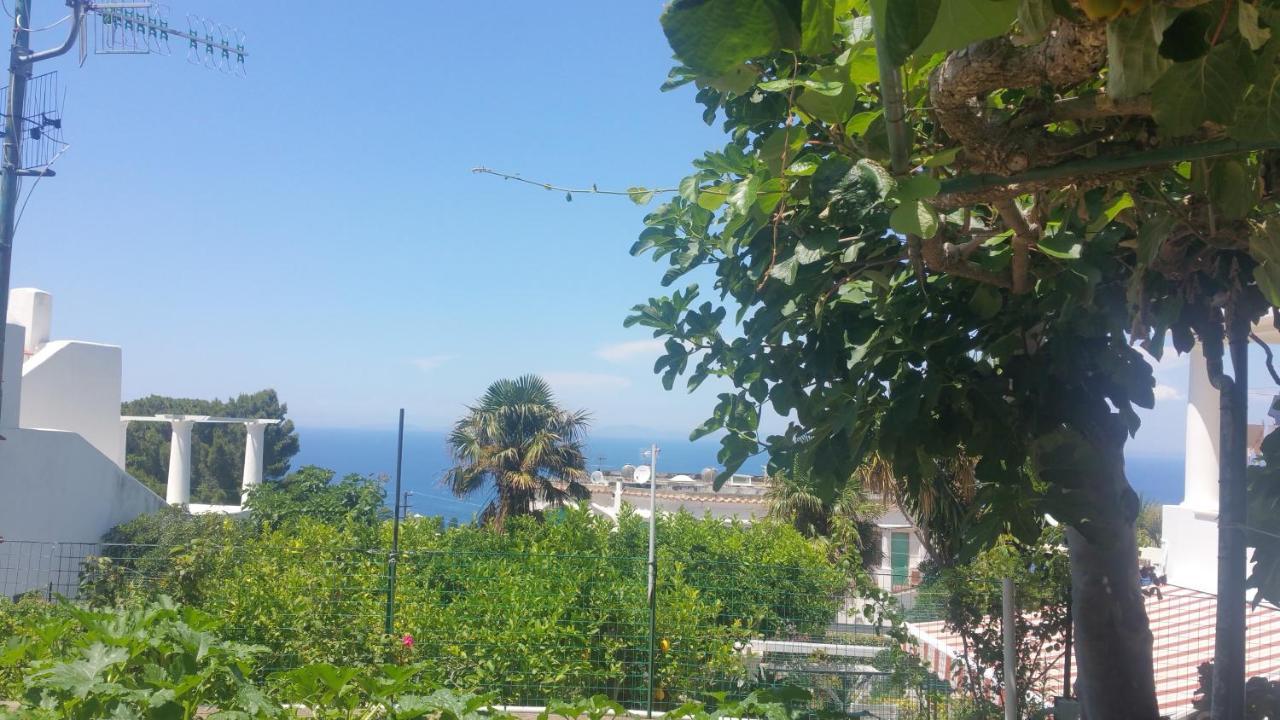 Villa Dei Fiori B&B Capri Exterior foto