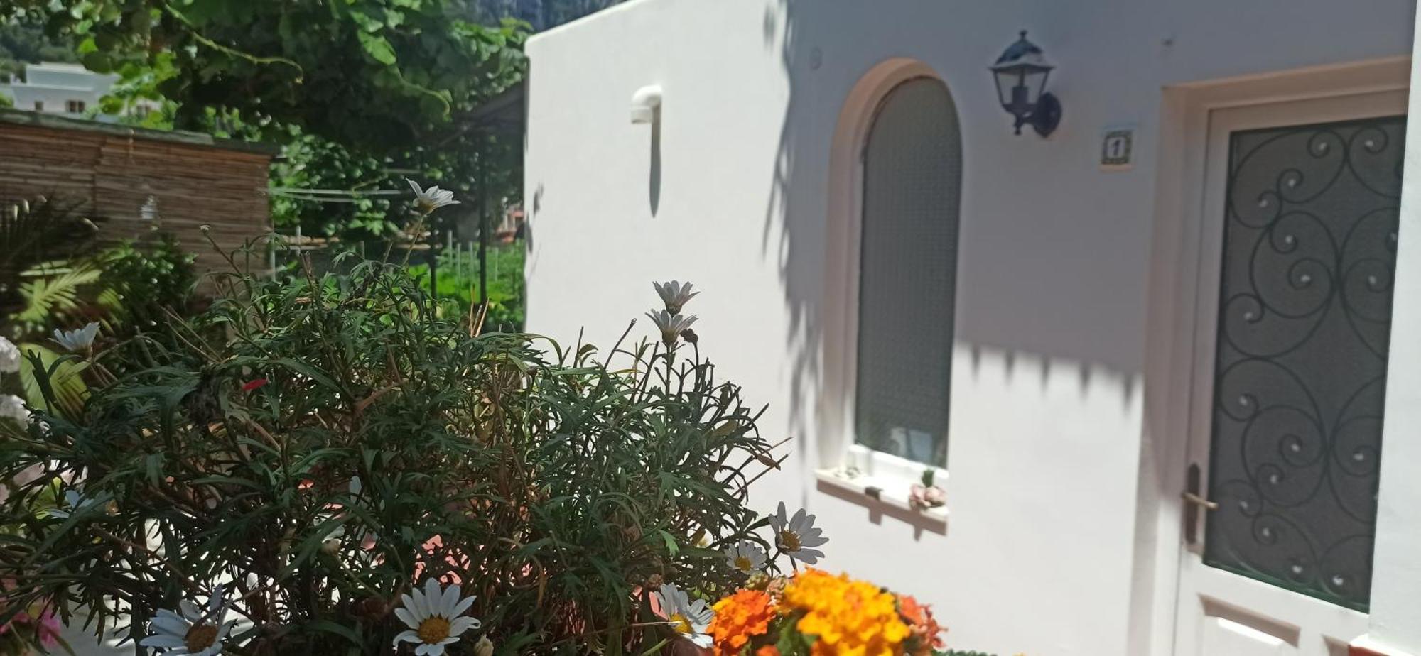 Villa Dei Fiori B&B Capri Exterior foto