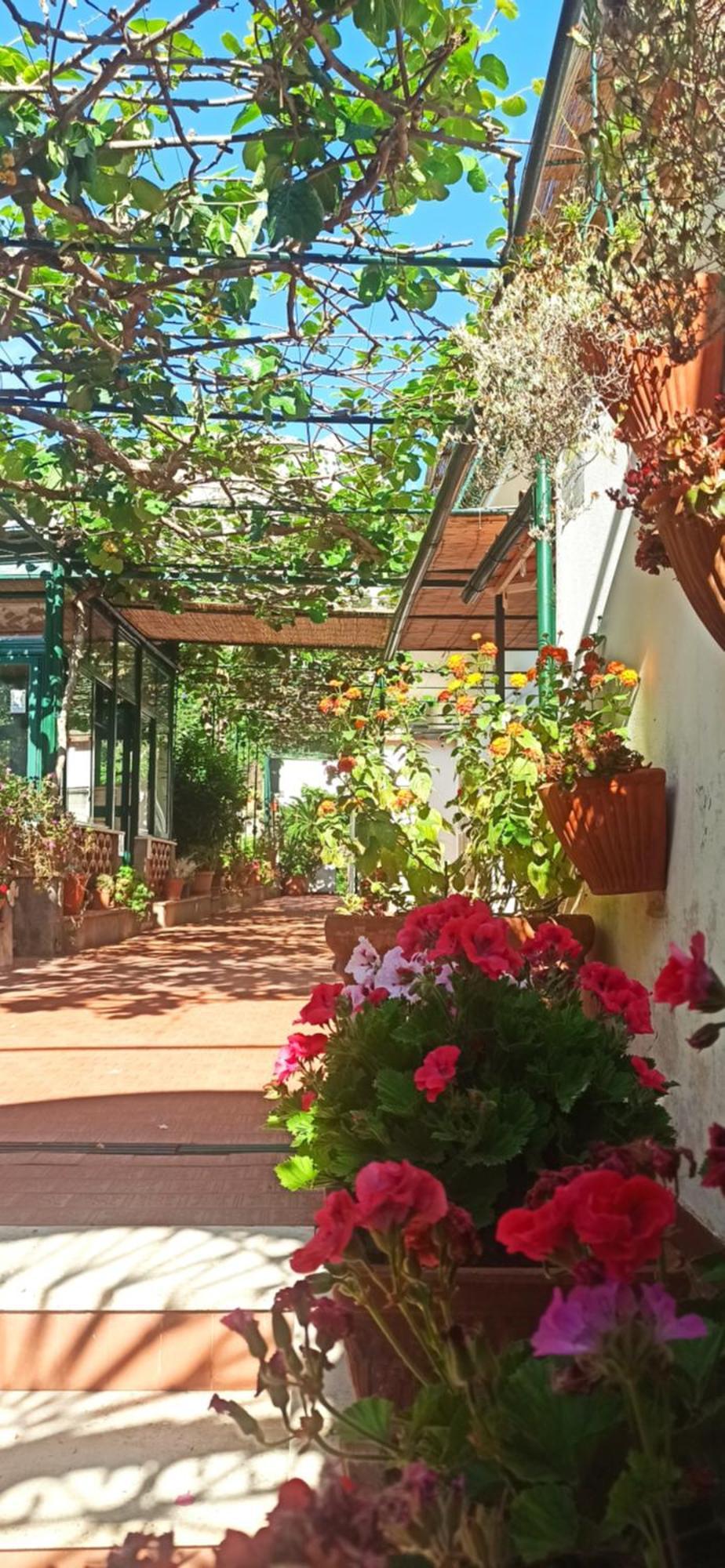 Villa Dei Fiori B&B Capri Exterior foto