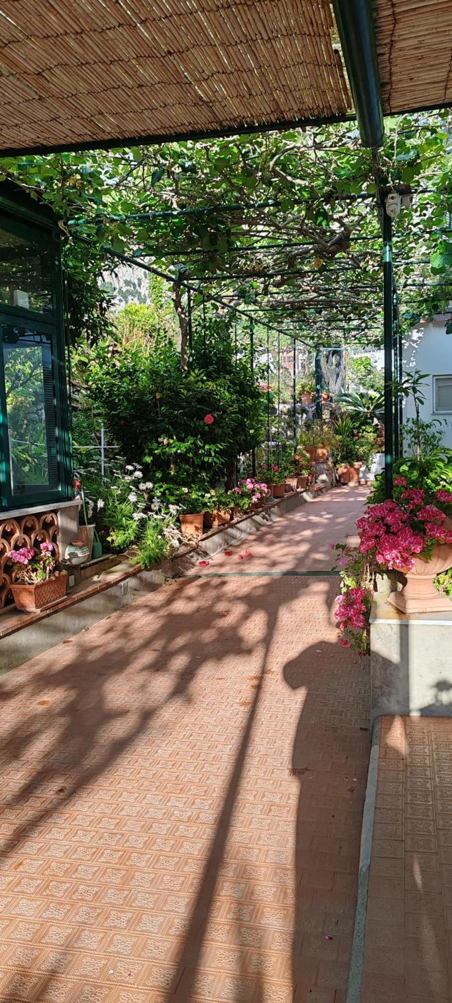 Villa Dei Fiori B&B Capri Exterior foto